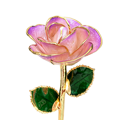 24K Gold Dipped Rose – Lotus Violet Edge 5-Petal Rose