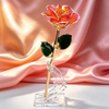 24k-gold-dipped-rose-orange-pink-edge-yc-05