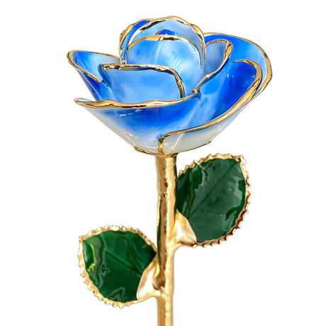24K Gold Dipped Rose – Frozen Sky Gradient 5-Petal Rose