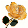24k-gold-dipped-rose-orange-lemon-yc-21