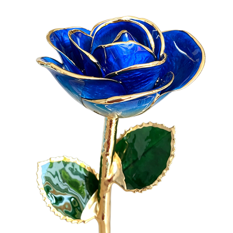 24K Gold Dipped Rose – Champagne Blue Ombre 5-Petal Rose