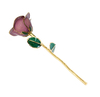 Source factory gold roses wedding decoration supplies cross-border e-commerce preferred gold-plated roses in stock wholesale