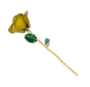 Source factory gold-plated roses valentine's day gift foreign trade company customized gold roses