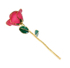 Source factory 24K gold-plated roses Christmas ornament cross-border e-commerce preferred baking paint flower