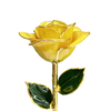 Source factory dipped gold roses mother's day gift foreign trade company customized gold plated roses