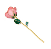 Source factory gold-plated roses valentine's day gift foreign trade company customized gold roses 