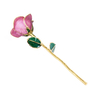 Gold-plated roses mother's day gift foreign trade company customized gold roses in stock wholesale
