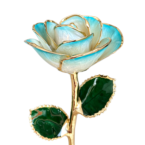 Sky Blue Gradient Edge 24K Gold Dipped Rose YC-33
