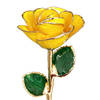 Dawn Lemon Gradient 24K Gold Dipped Rose YC-45