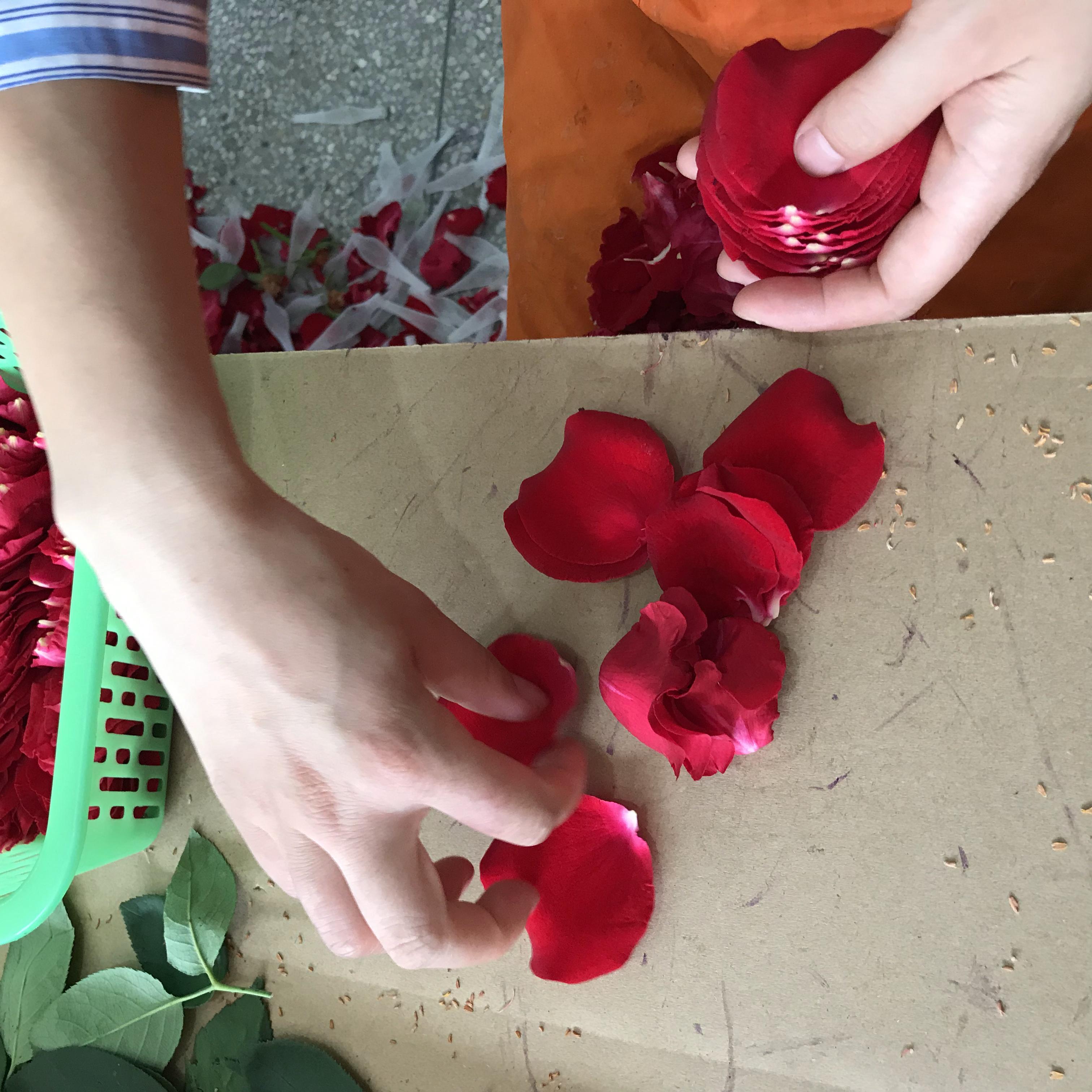 gold-rose-manufacturing-factory-china.jpg