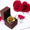 Daiya Gold Dipped Rose Blend - Love Only (natural rose colored material)