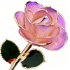24K Gold Dipped Rose – Lotus Violet Edge 5-Petal Rose