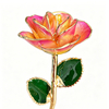 24k-gold-dipped-rose-orange-pink-edge-yc-05