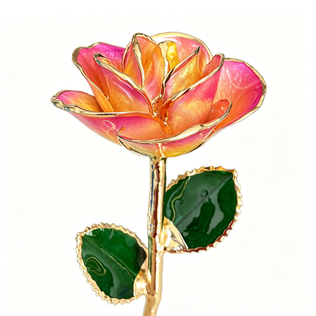 24K Gold Dipped Rose – Orange Pink Edge 5-Petal Rose