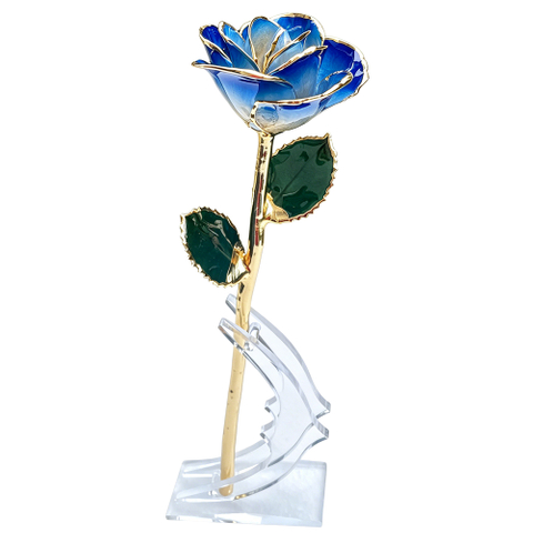 24K Gold Dipped Rose – Blue Edge Ombre 5-Petal Rose