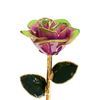 24K dipped gold roses factory direct sale Christmas decoration cross-border e-commerce preferred baking paint flower
