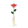 Source factory gold-plated roses mother's day gift foreign trade company customized gold roses
