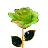 Factory direct sale gold-plated roses Mother's Day creative gifts foreign trade companies customized gold roses