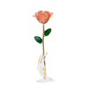 Source factory gold-plated roses valentine's day gift foreign trade company customized gold roses 