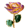 Aurora Yellow Purple 24K Gold Dipped Rose YC-31