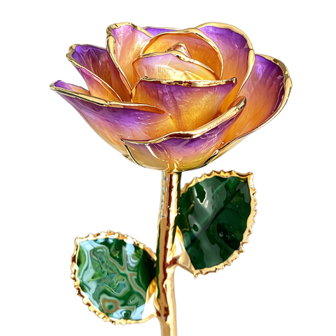 Aurora Yellow Purple 24K Gold Dipped Rose YC-31