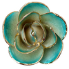45 color options for colorful 5-petal gold dipped roses