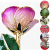 Peach Gradient Edge gold rose gift display