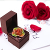 Daiya Gold Dipped Rose Iridescent - Single Flower (Natural Rose Material)