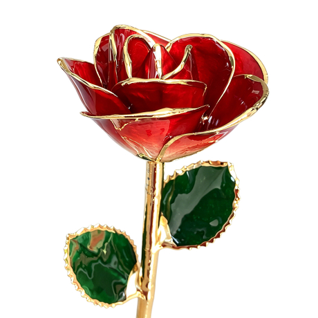 24K Gold Dipped Rose – Golden Red Ombre 5-Petal Rose