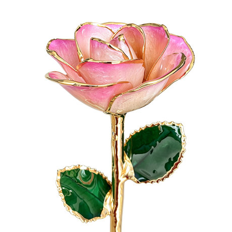 24K Gold Dipped Rose – Pink Blush Blend 5-Petal Rose