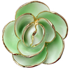 24K Gold Dipped Rose – Aurora Aqua White 5-Petal Rose