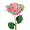 24K Gold Dipped Rose – Pastel Pink Green Blend 5-Petal Rose