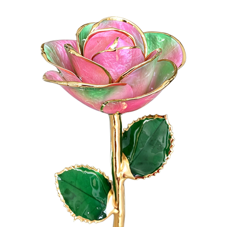 24K Gold Dipped Rose – Pastel Pink Green Blend 5-Petal Rose