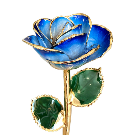 24K Gold Dipped Rose – Blue Edge Ombre 5-Petal Rose