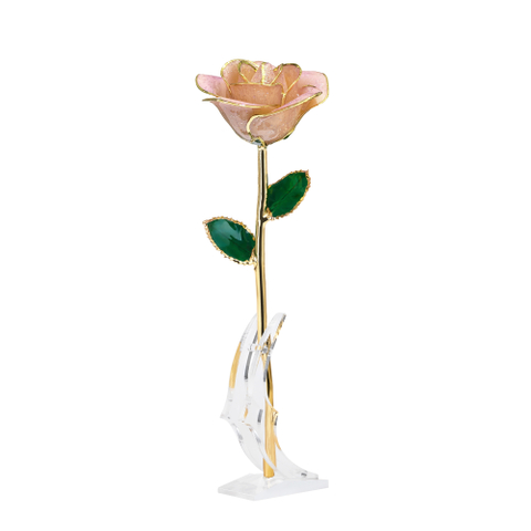 Factory direct sales gold dipped roses Valentine's Day proposal must have foreign trade companies customized gold roses
