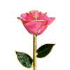 Factory direct sale gold-plated roses Mother's Day creative gifts foreign trade companies customized gold-plated roses