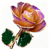 Aurora Yellow Purple 5-Petal Gold Dipped Rose