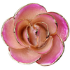 5-petal gold dipped rose production and inspection at factory