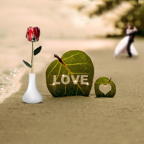 Daya Gold Rosebud (red)