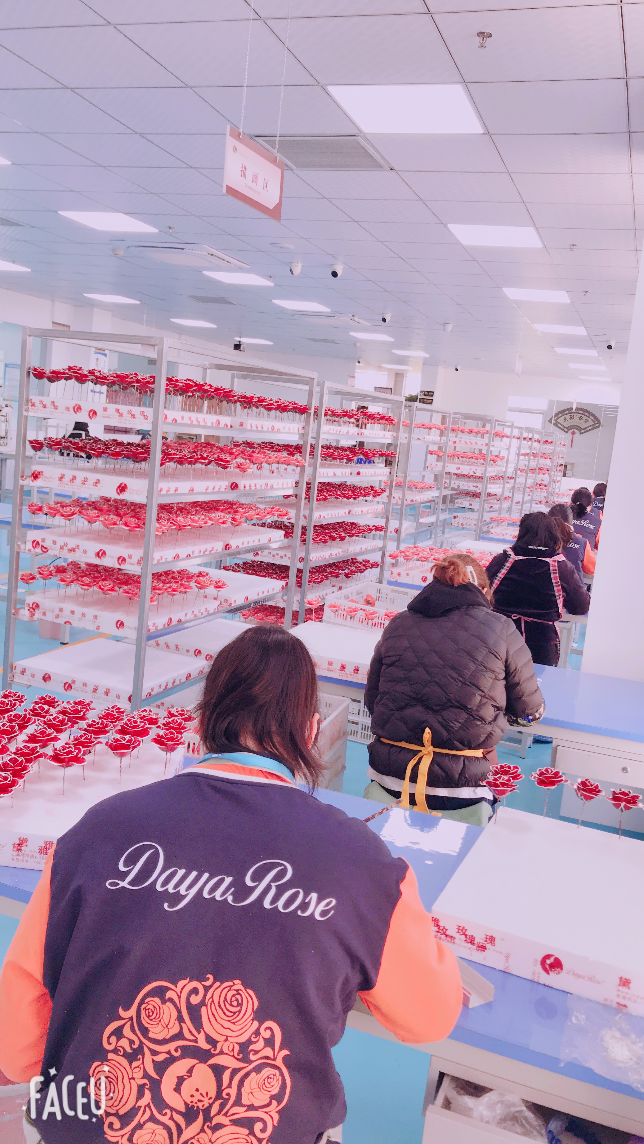 daiya-jewelry-gold-rose-gift-manufacturer.jpg