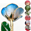 24k-gold-dipped-rose-golden-sky-gradient-yc-04