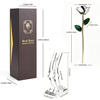 24k-gold-dipped-rose-zebra-gold-line-yc-03