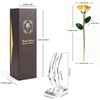 24k-gold-dipped-rose-orange-lemon-yc-21
