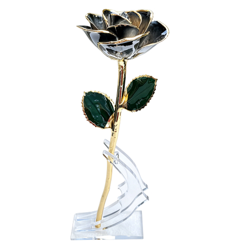 24K Gold Dipped Rose – Shadow Black Edge 5-Petal Rose