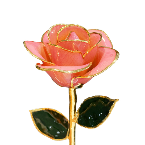 Factory direct sale gold-plated roses Valentine's Day proposal must have foreign trade companies customized gold roses