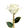 Source factory gold roses wedding souvenirs cross-border e-commerce preferably dipped gold roses in stock wholesale