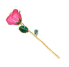 Factory direct sale gold-plated roses Mother's Day creative gifts foreign trade companies customized gold-plated roses
