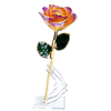 24K Gold Dipped Rose – Aurora Yellow Purple YC-31