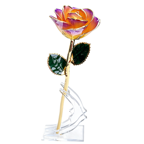24K Gold Dipped Rose – Aurora Yellow Purple YC-31