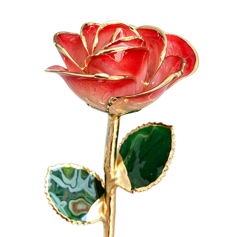 Oriental Red Gradient 24K Gold Dipped Rose YC-42